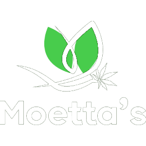 Moetta’s Transport